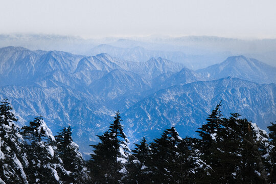Mountain Range with Snow and Trees