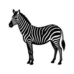 Obraz premium Zebra clipart on white background vector illustration