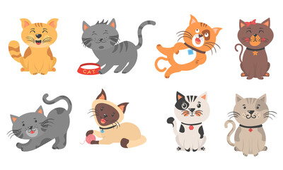 png cute orange cat with whisker fur and claw playful pet mammal kitten isolated cartoon vector sticker icon illustration digital background domestic animal art character fun red white









