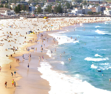 Summer Beach Fun with Waves