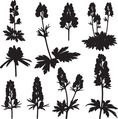 Collection of various lupine flower and plant silhouettes, ideal for botanical, nature, and floral design themes. Perfect for garden illustrations, wild flora motifs, and organic patterns