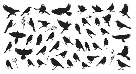 Assorted birds gather in silhouette, creating a natural avian pattern against a light backdrop, with botanical sprigs mixed in.