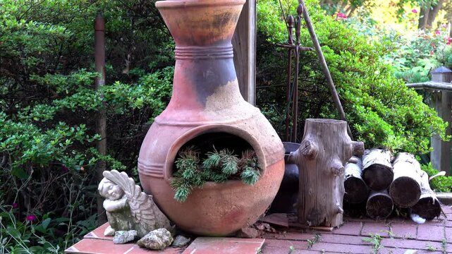 Kitten climbs onto patio with chiminea.