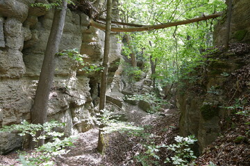 Klamm im Karst an den Kammerlöchern Angelroda