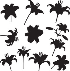 Naklejka premium Collection of elegant lily flower silhouettes, ideal for botanical, nature, and floral design themes. Perfect for garden illustrations, spring motifs, and organic patterns