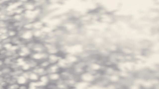 Abstract shadow tree on wind background, bokeh effect, looped animation