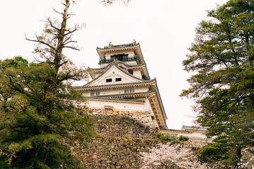 KOCHI, JAPAN - may 2 2025 Kochi Castle