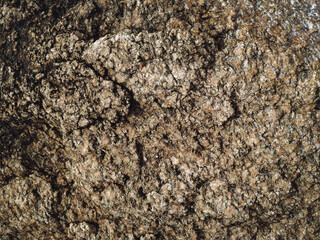 Natural light brown rock background. Stone texture. Grunge granite surface.