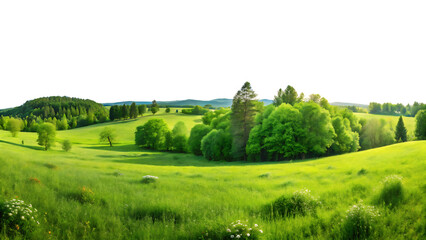 panorama of meadow green isolated on white background, PNG