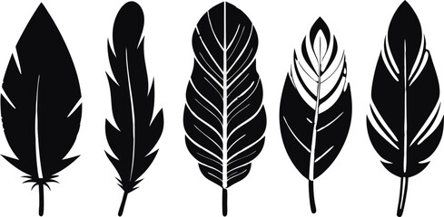 Boho Feather Silhouette Set – 6 Feather Designs in Vector Style