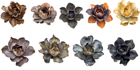 Ten stylized floral arrangement art on transparent background