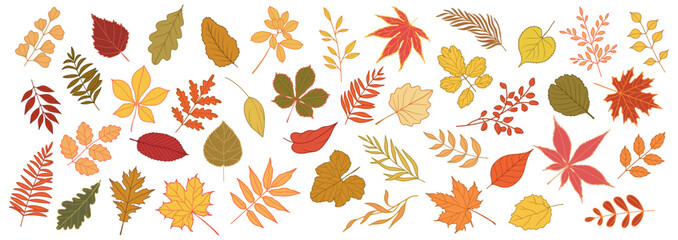 Set of autumn leaves and branches from different trees, maple, oak, aspen, chestnut. Simple flat falling yellow, red, orange autumn leaf. Vector illustration on white background