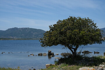 Sardinia, diverse island with landscapes, beaches and art in the Mediterranean

