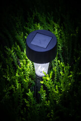 Small garden LED light among decorative grass on the lawn.