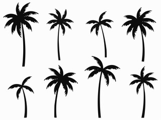 Fototapeta premium Palm Tree Silhouette Vector Set – Black Tropical Trees Isolated on White Background