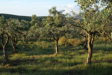 Sardinia, diverse island with landscapes, beaches and art in the Mediterranean


