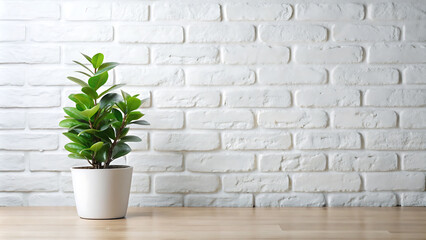 White Brick Wall With a Single Green Potted Plant in a Room