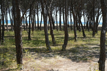 Sardinia, diverse island with landscapes, beaches and art in the Mediterranean


