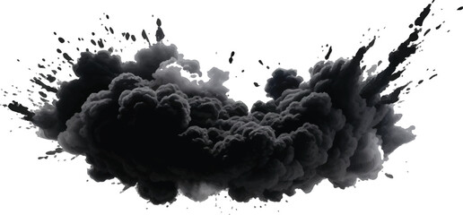 
Ethereal and Dramatic Abstract Smoke Burst in Dark Monochrome Tones, Spreading Elegantly 
Across a White Space to Create a Powerful Visual Composition
