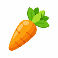 Vibrant Orange Carrot.  A Fresh and Healthy Vegetable