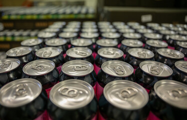 Rows of sealed aluminum beer cans in craft brewery production line