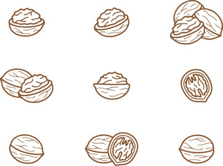 Walnut Nut Vector Set – Healthy, Food, Snack, Organic, Natural, Brown, Shell, Nutrition, Icon, Botanical

