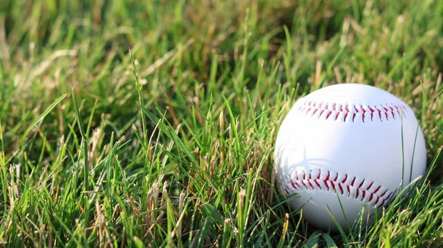 baseball on grass, panning left to right 