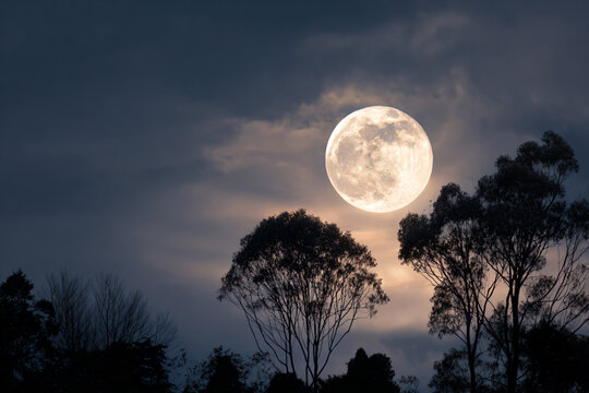 a full moon is seen through the clouds