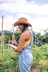 vertical Latin farmer woman using tablet and stylus in tomato plants field