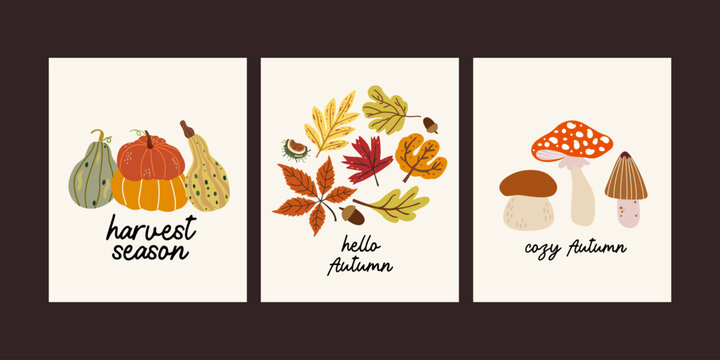 Abstract autumn simple posters collection. Hello Autumn. Background for greeting card, poster, flyer, cover. Nature cartoon illustration with ripe pumpkins, autumn leaves, forest mushrooms