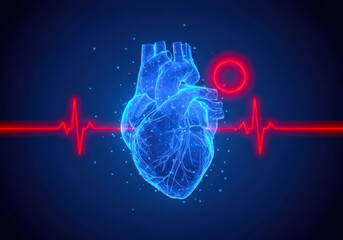 Wired for Wellness: An abstract blue low-poly heart, featuring a glowing red pulse line, illustrating the intricate 3D structure of modern healthcare.