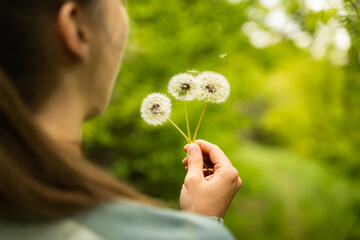 Close-up of young woman blowing dandelion seeds with green blurred background, girl holding...