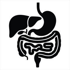 Human Digestive System Anatomy Black and White Vector
