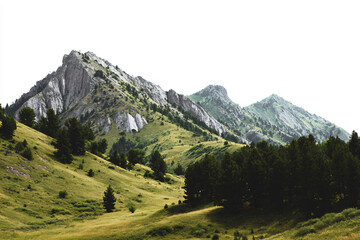 a mountain with a few trees on it