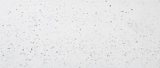 Fototapeta premium The textured white surface with subtle gray speckles and minimalist appeal.