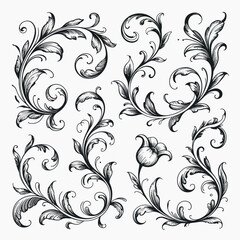 Intricate Hand Drawn Cat Illustration with Detailed Line Work and Various Color Options