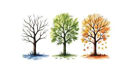 Fototapeta premium Various tree vectors. Forest and nature concept. Collection of different tree symbols. Education and training poster design. Vector drawn for plant and tree presentation.