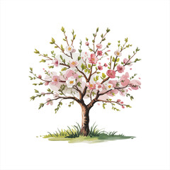 Fototapeta premium Various tree vectors. Forest and nature concept. Collection of different tree symbols. Education and training poster design. Vector drawn for plant and tree presentation.