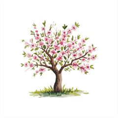 Obraz premium Various tree vectors. Forest and nature concept. Collection of different tree symbols. Education and training poster design. Vector drawn for plant and tree presentation.