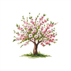 Obraz premium Various tree vectors. Forest and nature concept. Collection of different tree symbols. Education and training poster design. Vector drawn for plant and tree presentation.