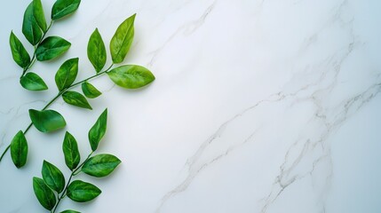 Green Leaves on White Marble Background