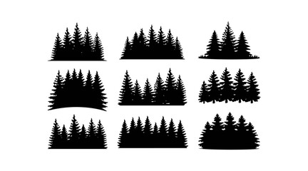 Fototapeta premium Various tree vectors. Forest and nature concept. Collection of different tree symbols. Education and training poster design. Vector drawn for plant and tree presentation.