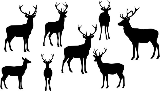 Elegant deer silhouette single deer standing gracefully vector illustration design
