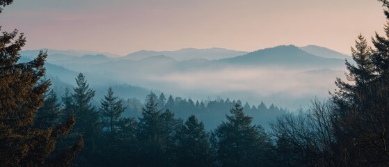 The breathtaking view of misty mountains at dawn over a tranquil forest.