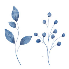 Blue leaves watercolor hand drawing floral illustration. Indigo leaf, plants, foliage, branches isolated on white background.