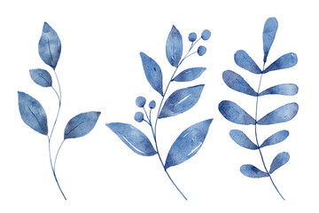 Blue leaves watercolor hand drawing floral illustration. Indigo leaf, plants, foliage, branches isolated on white background.