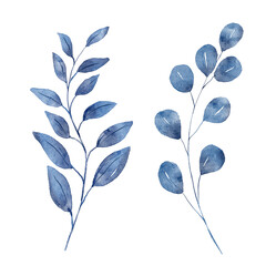 Blue leaves watercolor hand drawing floral illustration. Indigo leaf, plants, foliage, branches isolated on white background.