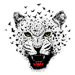 vector illustration of a leopard