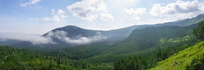 Sunrise in early morning over the mountains in fog and evaporation water over fir trees and birds in summer. Summer landscape. Carpathian Mountains