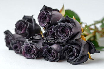 a bunch of purple roses sitting on a table
